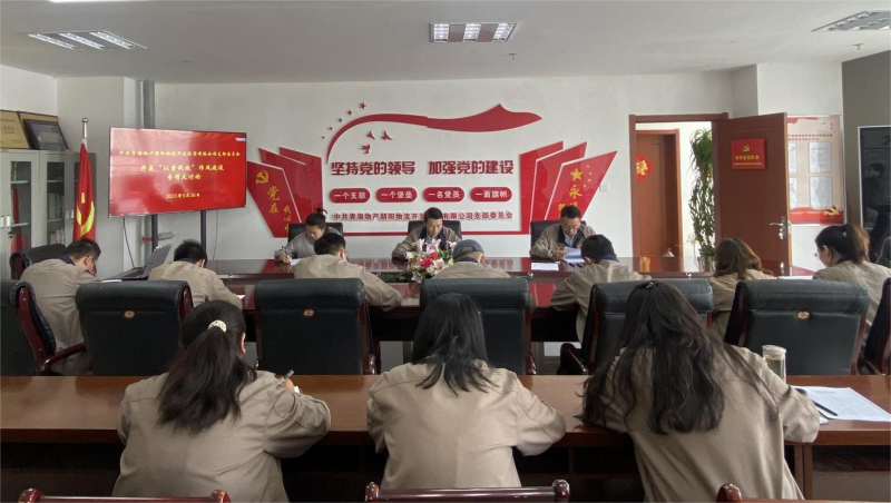 以案促改轉(zhuǎn)作風(fēng) 堅(jiān)守底線(xiàn)樹(shù)新風(fēng)   &mdash;&mdash;青海物產(chǎn)朝陽(yáng)物流開(kāi)發(fā)投資有限公司支部委員會(huì)開(kāi)展&ldquo;以案促改&rdquo;作風(fēng)建設(shè)專(zhuān)項(xiàng)大討論